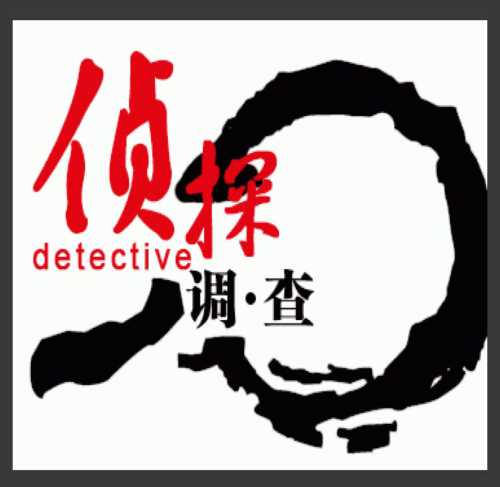 宁波商务调查